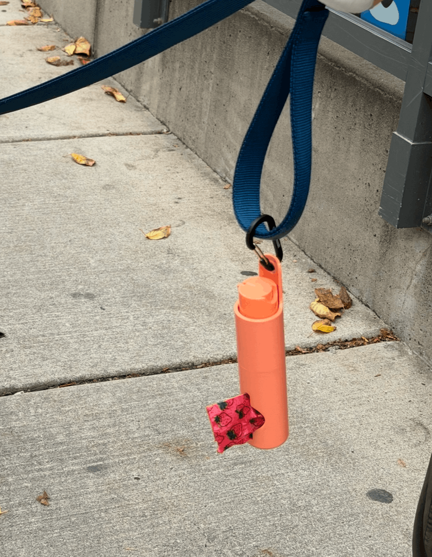 Transform your dog walking experience Today with the WagBag!